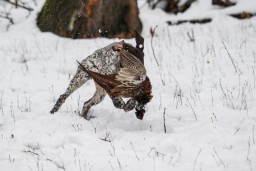 img_1058-2