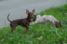img_7384-1