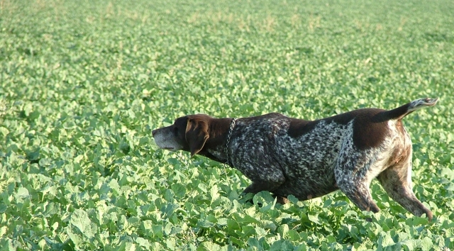 brita_z_ludger_3