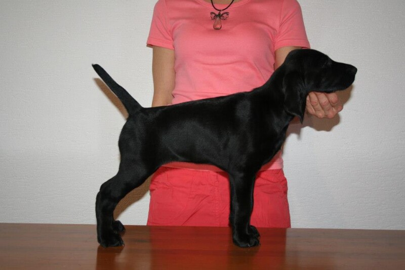 perry_dark_postoj