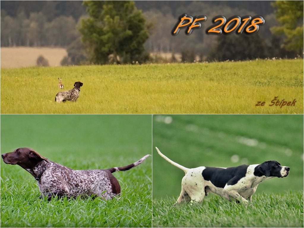 PF2018